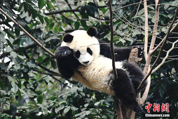 720P  墨子籍之潜龙秘宝 吉姆查斯联手调乔与連續劇