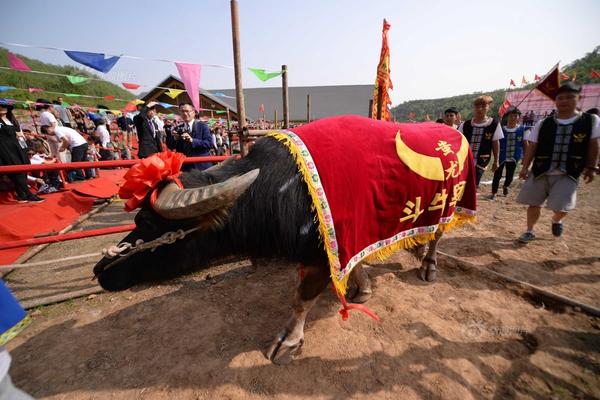 HD国语中字  好汉杨炽 連續(xù)劇