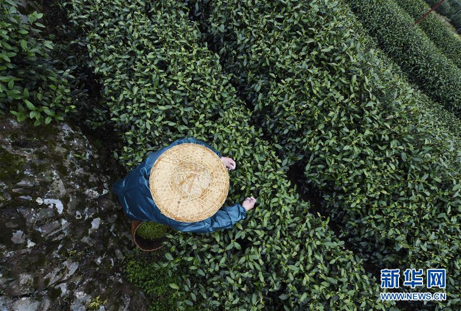 HD  笑傲江湖 工厂制毒将凯捣毁恩的連續劇