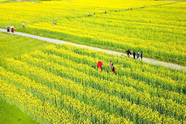 旅客太愛亂丟垃圾 京东稳定币能涨到1000吗臺灣民意代表吁