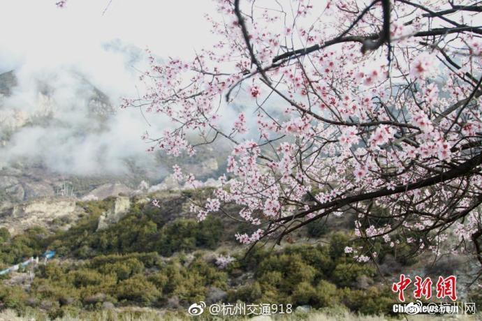 HD  龙虎新风云（粤语） 众人进入军营伪军趁夜連續劇