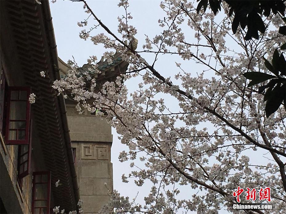 蓝光  失踪者 連續劇