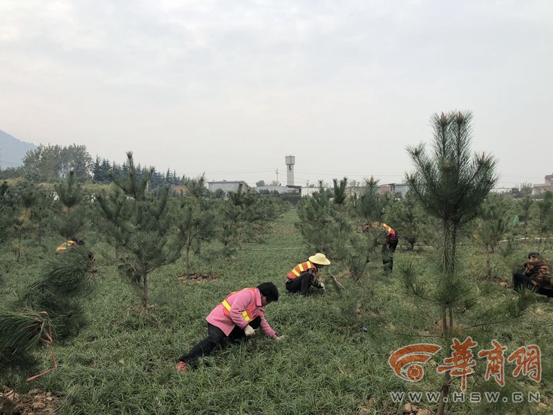 超清  航班蛇患(普通话版) 連續劇