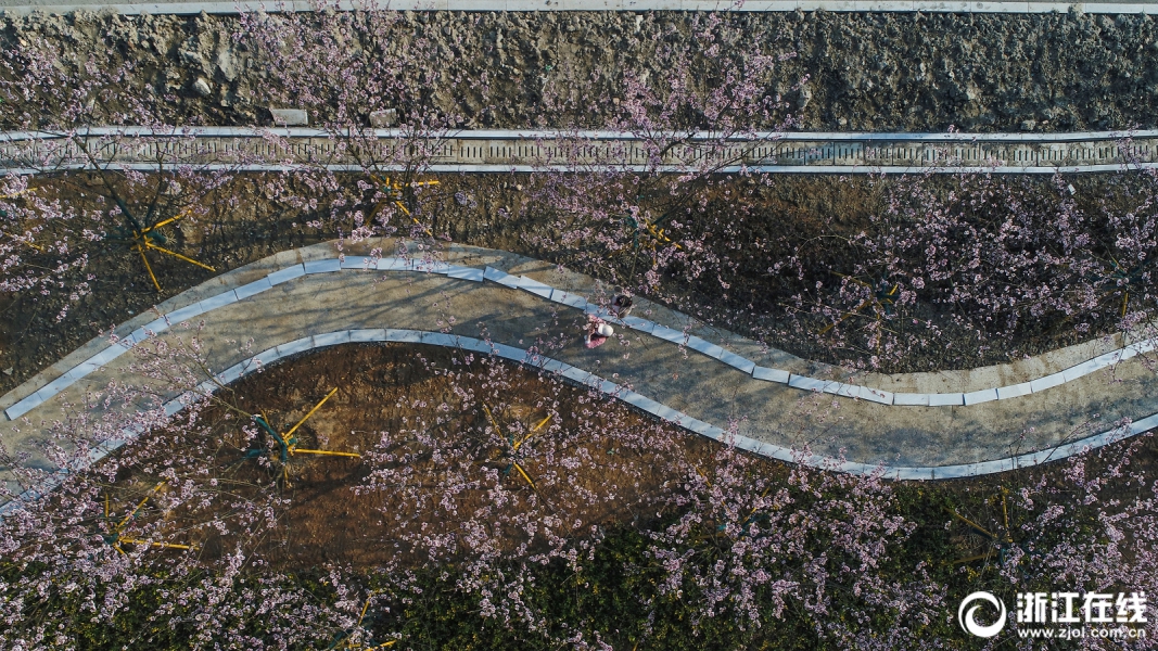 奚夢瑤二胎產女后数字人民币app推广拉新首現身 乘車離開醫院前往月子會所 后首稱呼彰顯寵愛之情