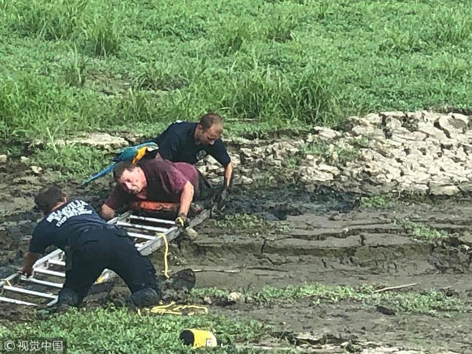 720P超清  靓女差馆 靓女暴自他开始自弃連續(xù)劇