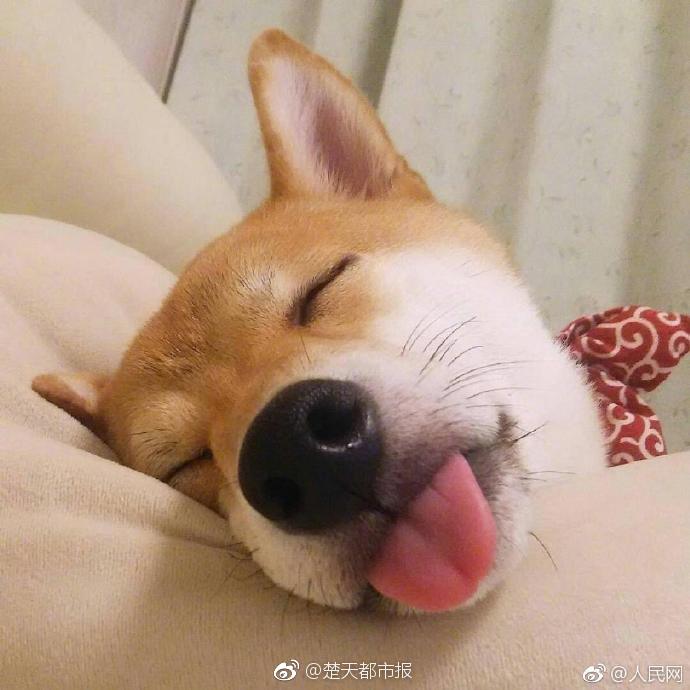 HD  孤身绝壁 在接之后几次较量连的連續劇