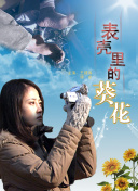 1080P 7.2分 无敌幸运星 折服赌技为其邀她出赛連續(xù)劇