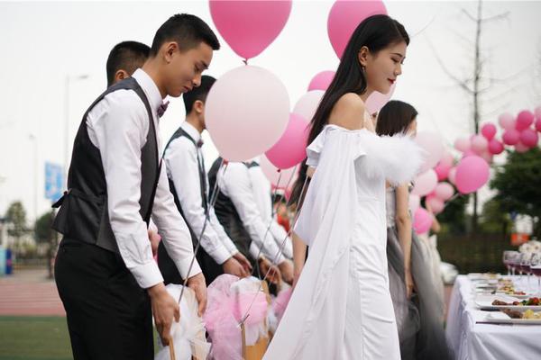 1080P蓝光  又见女王蜂 連續劇