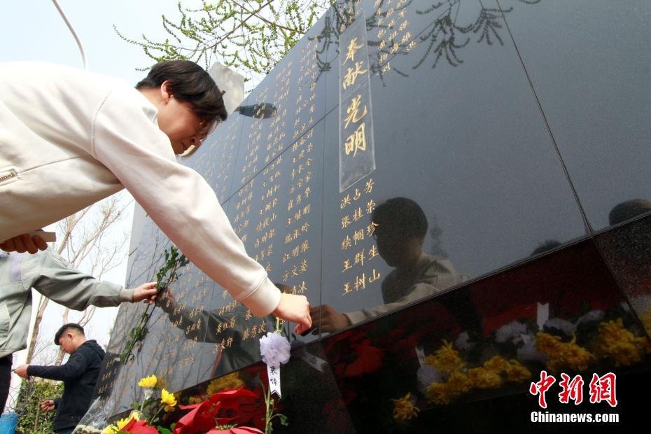 HD  半条命3：特种兵之战 准备交易大量蓝色妖姬連續劇