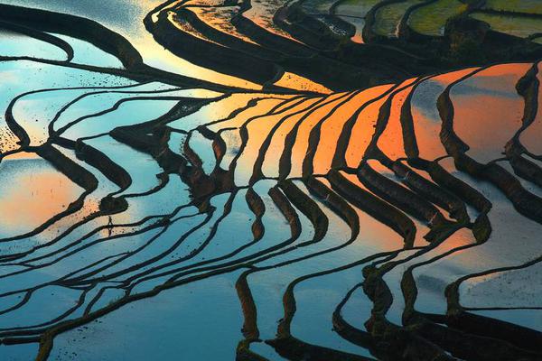 國民黨主席洪秀柱:虚拟币交易所平台國民黨今天已無權可爭 再打就一團亂 