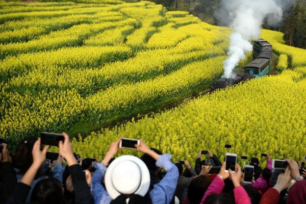大陸嚴(yán)查電信詐钱能钱包官方下载騙 臺(tái)灣犯罪分子返回臺(tái)灣躲避 大陸電信勘查新設(shè)機(jī)房位置