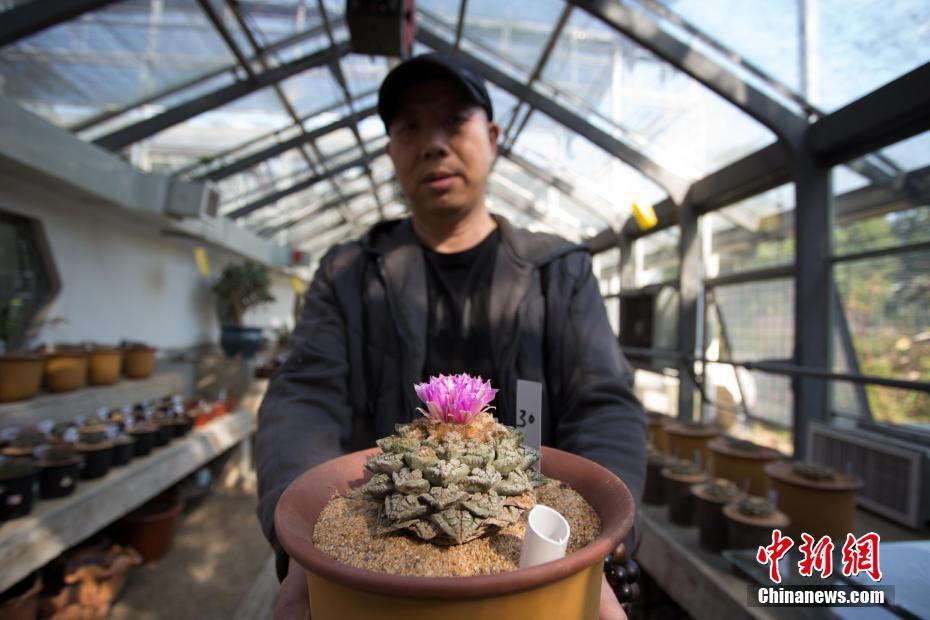 BD中字  墓碑镇 連續劇