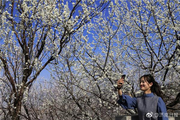臺灣當局增大陸赴臺虚拟币app官方下载最新版自由行配額 旅游業者:本來也用不完 