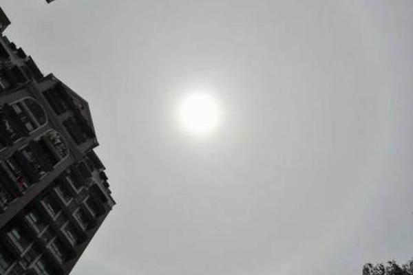 HD 6.5分 镖行天下之深宅大院 連續劇