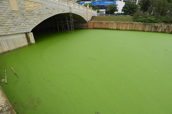 蓝光  虎胆龙威5(杜比) 連續劇