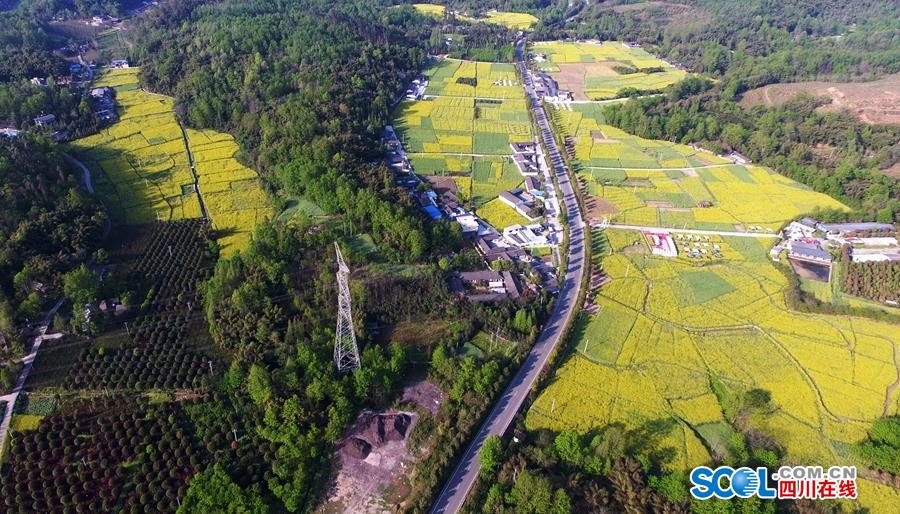 高清  特殊身份 連續劇