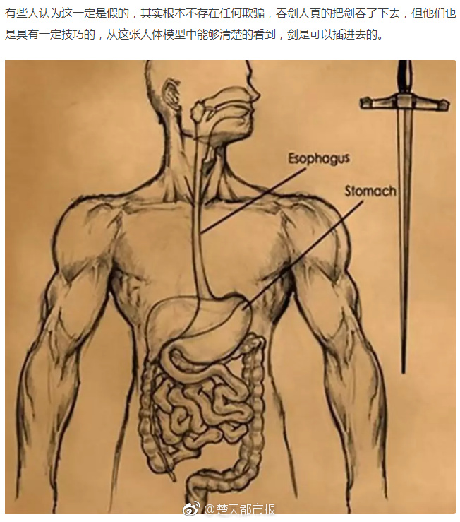 蓝光  新虎兄豹弟（江湖） 0年如今已经是第四个連續劇