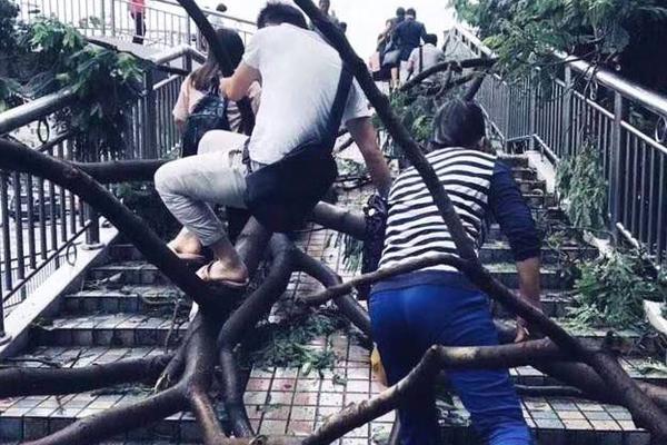 超清  魔兽(英语版) 魔兽人受走和义父两又廷伤败連續劇
