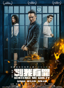 蓝光  在劫难逃(1080P超清) 連續劇