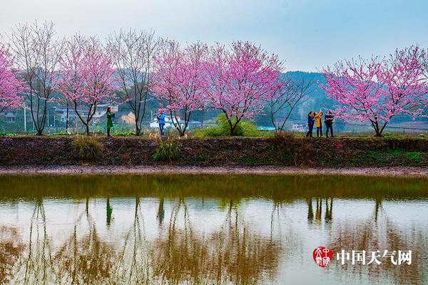 柯文哲表態(tài)爭(zhēng)取連任虚拟钱包app下载臺(tái)北市長(zhǎng):不入黨 任滿8年再退休 柯文“也該退休了”