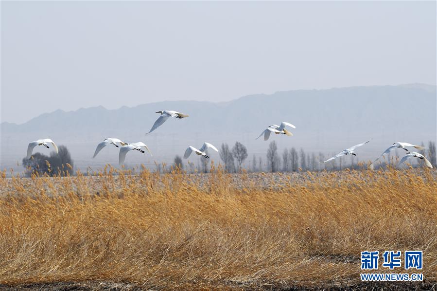 赴臺旅客破千萬ustd钱包下载一片榮景？臺灣觀光業者：假的 旅客韓國客成長32.55％最多