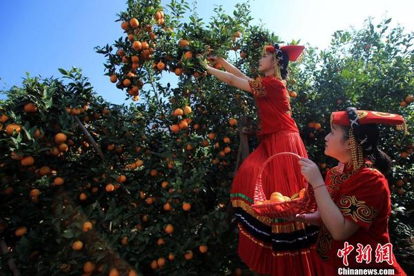 HD  叶问外传：张天志 連續劇