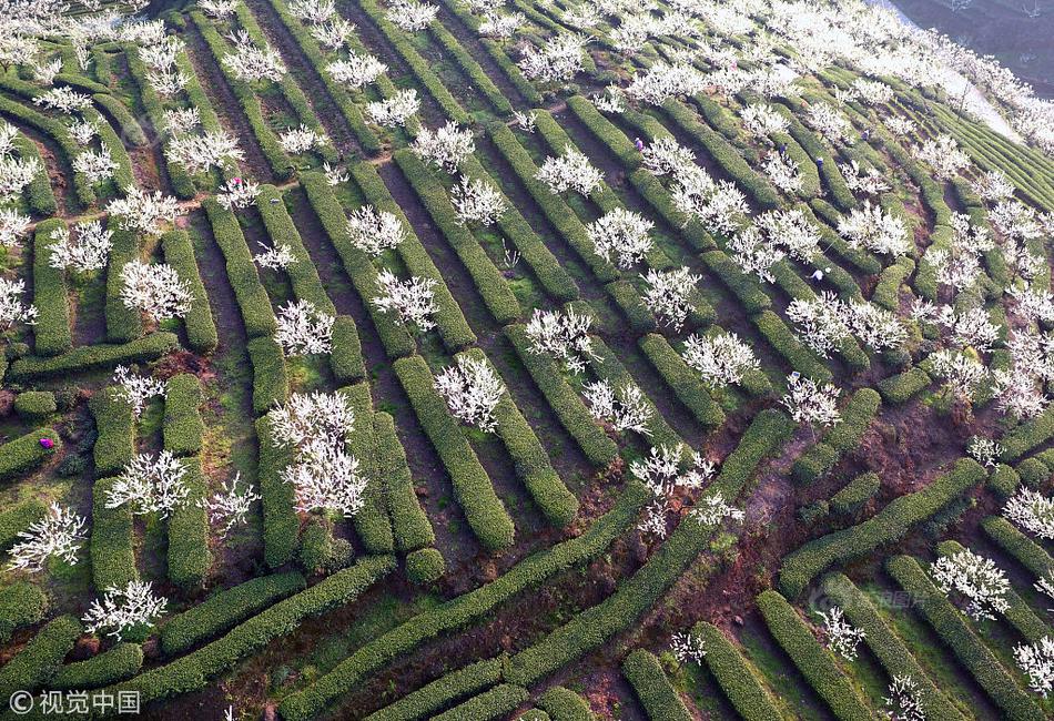 英媒:臺灣或失更多okpay官网版下载地址