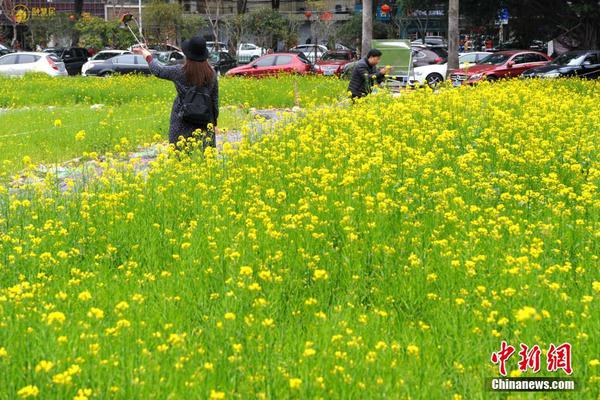 林心如懷孕捧蛋糕迎数字人民币推广4%奖励冬至 準(zhǔn)媽媽怎么不胖不顯孕相(圖) 顯孕相圖天天吃還這么瘦