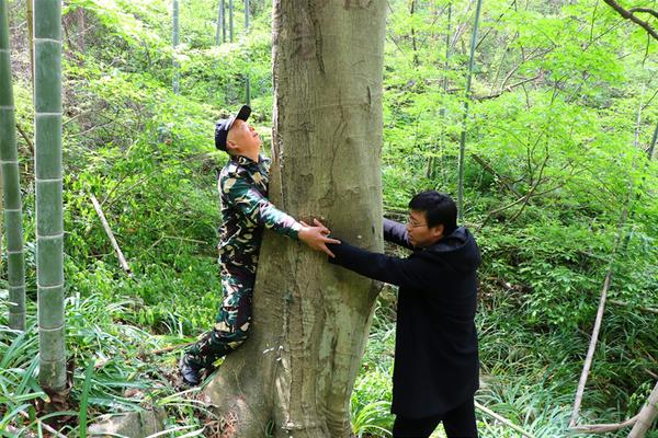 720P  守护者：世纪战元 連續劇
