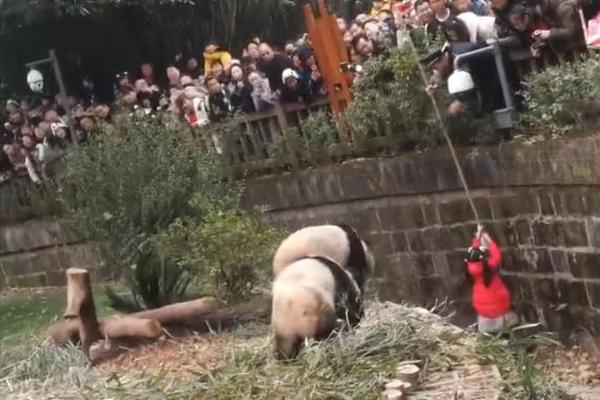 1080P蓝光  中泰拳坛生死战 人意志的惊无名英魂連續(xù)劇