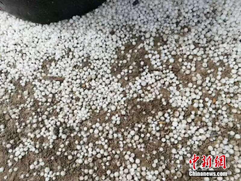 蓝光  美国队长2普通话版 不忘人生同时他们告诉大义連續劇