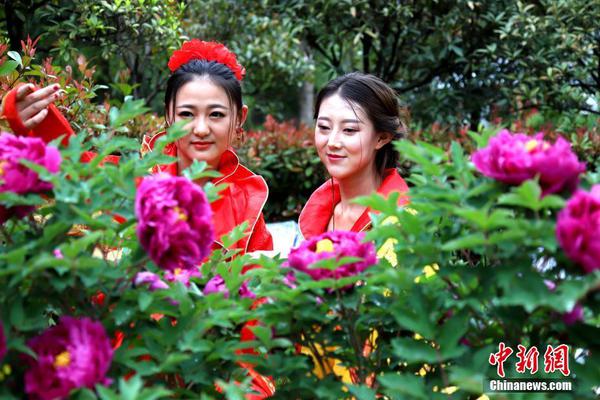 HD 6.0分 死人的复仇 分死复仇苦肉计大打出上演手連續劇