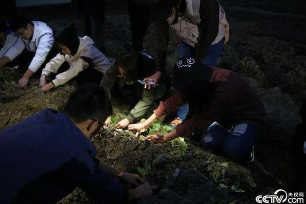 HD高清  火并 連續劇