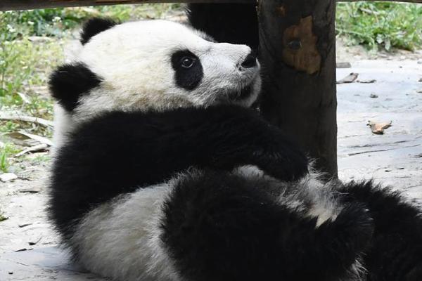 超清  时间·猎杀者 連續劇