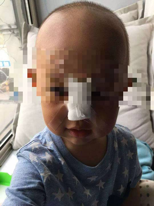 高清 8.6分 东邪西毒 分东表妹匿藏枝家中单桂連續劇