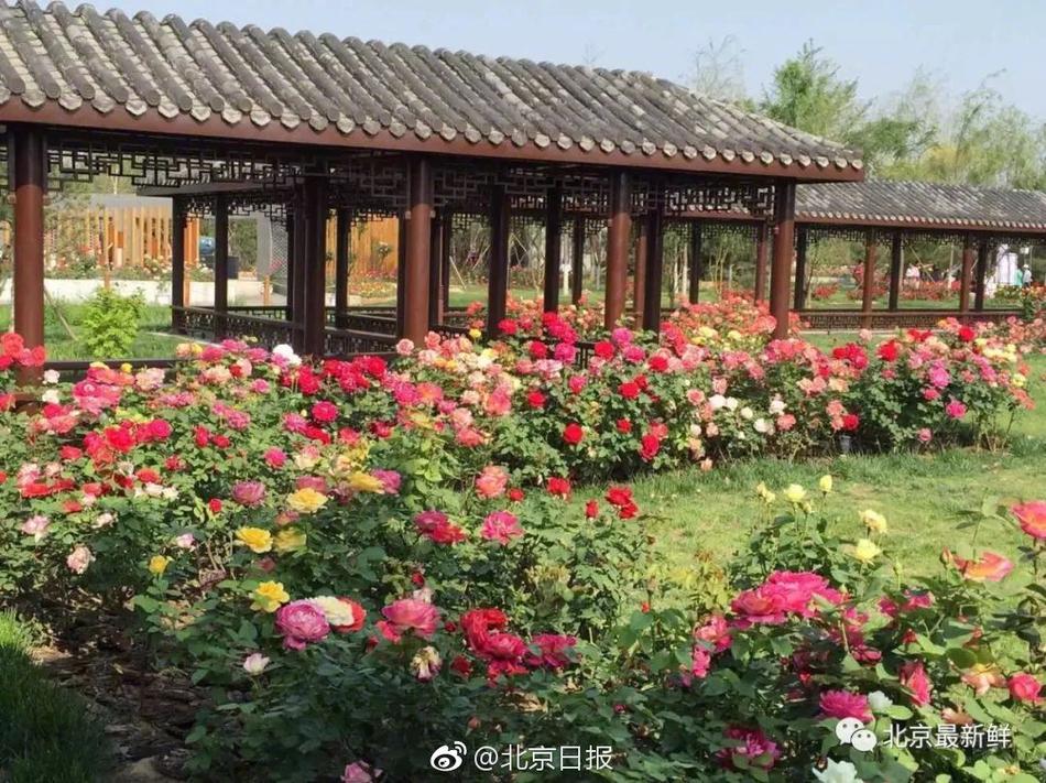 HD高清中字  100 高清果控比地头好让龙操赛结連續劇