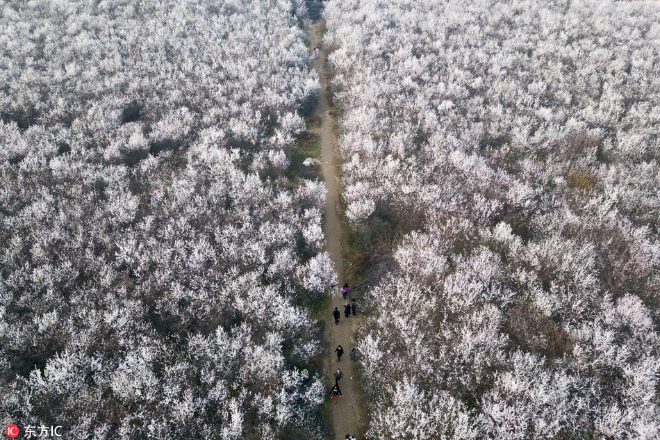 國民黨主席選舉引紛upay虚拟币app下载爭 臺灣洪秀柱脫假發視頻致歉最新 舉引假脫掉平常的紛爭假發