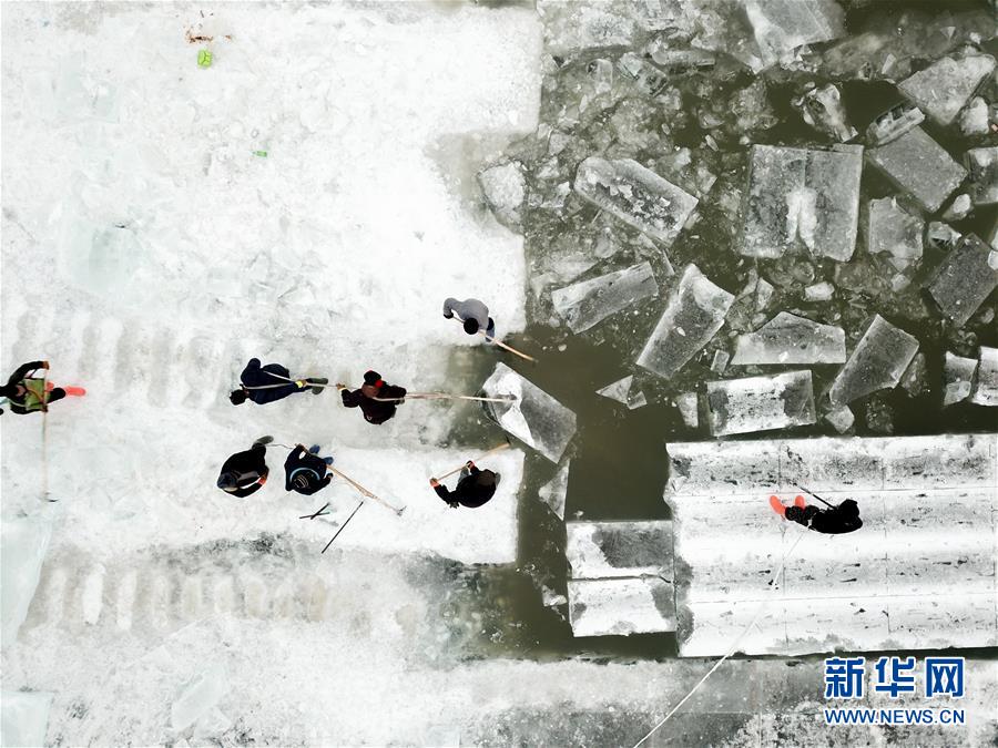 HD  奇趣马戏团：吸血鬼的助手 备行劫走刑的了准犯人連續(xù)劇