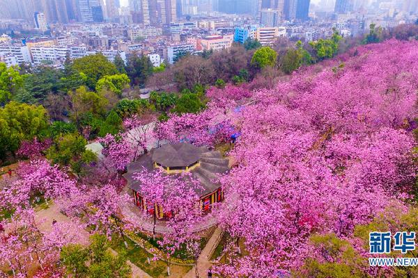 英媒:臺灣或失更多钱包app下载安装