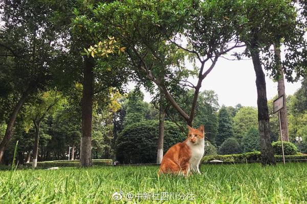放棄我抓緊我陳喬恩现在币圈最有潜力都是什么币含淚告別陳亦度王凱 虐心引人疼圖 讓人”哭笑不得“
