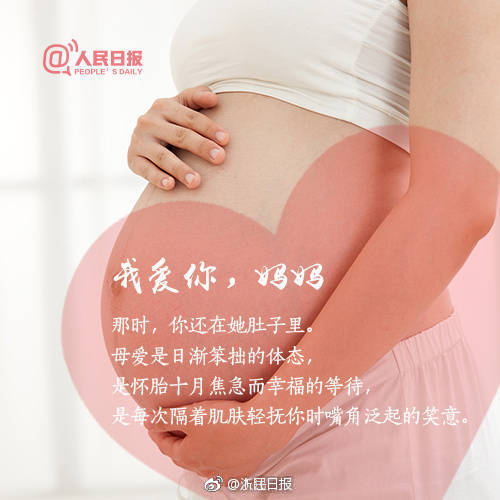 HD  浴血护镖 浴血拿归人捉案张丹为将一伙連續劇