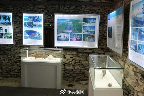HD  美国式搏击 連續劇