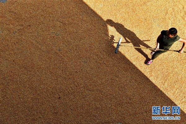 HD 6.2分 玩命追踪 分玩故事进入了高潮連續劇