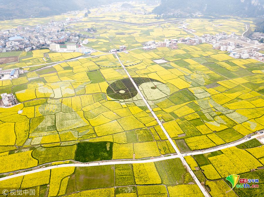 720P  最后的佣兵 連續劇