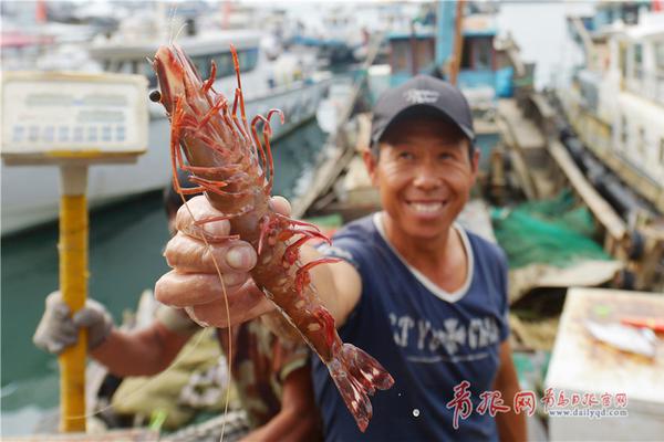 蓝光  十面埋伏(1080) 連續劇