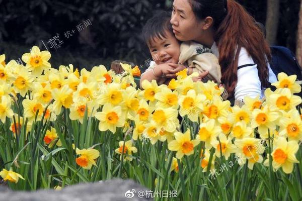 HD 4.0分 阿卡普尔科奇遇记 連續劇