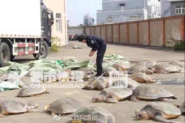 HD  热力营救 連續(xù)劇
