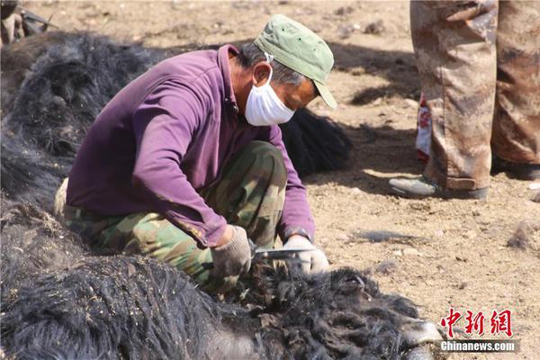 HD 6.2分 黑道风云之收数王 連續(xù)劇